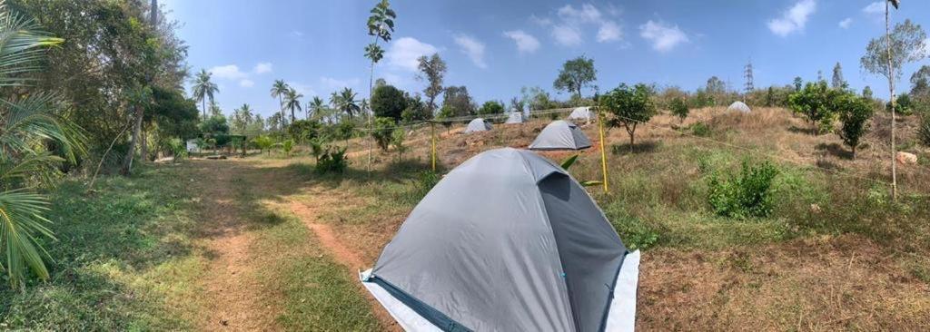 Hotel Wilderness Jungle Camp Malavalli Zewnętrze zdjęcie