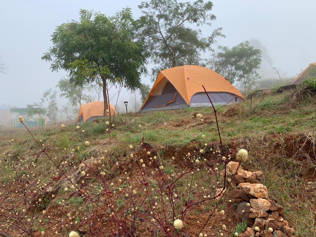 Hotel Wilderness Jungle Camp Malavalli Zewnętrze zdjęcie