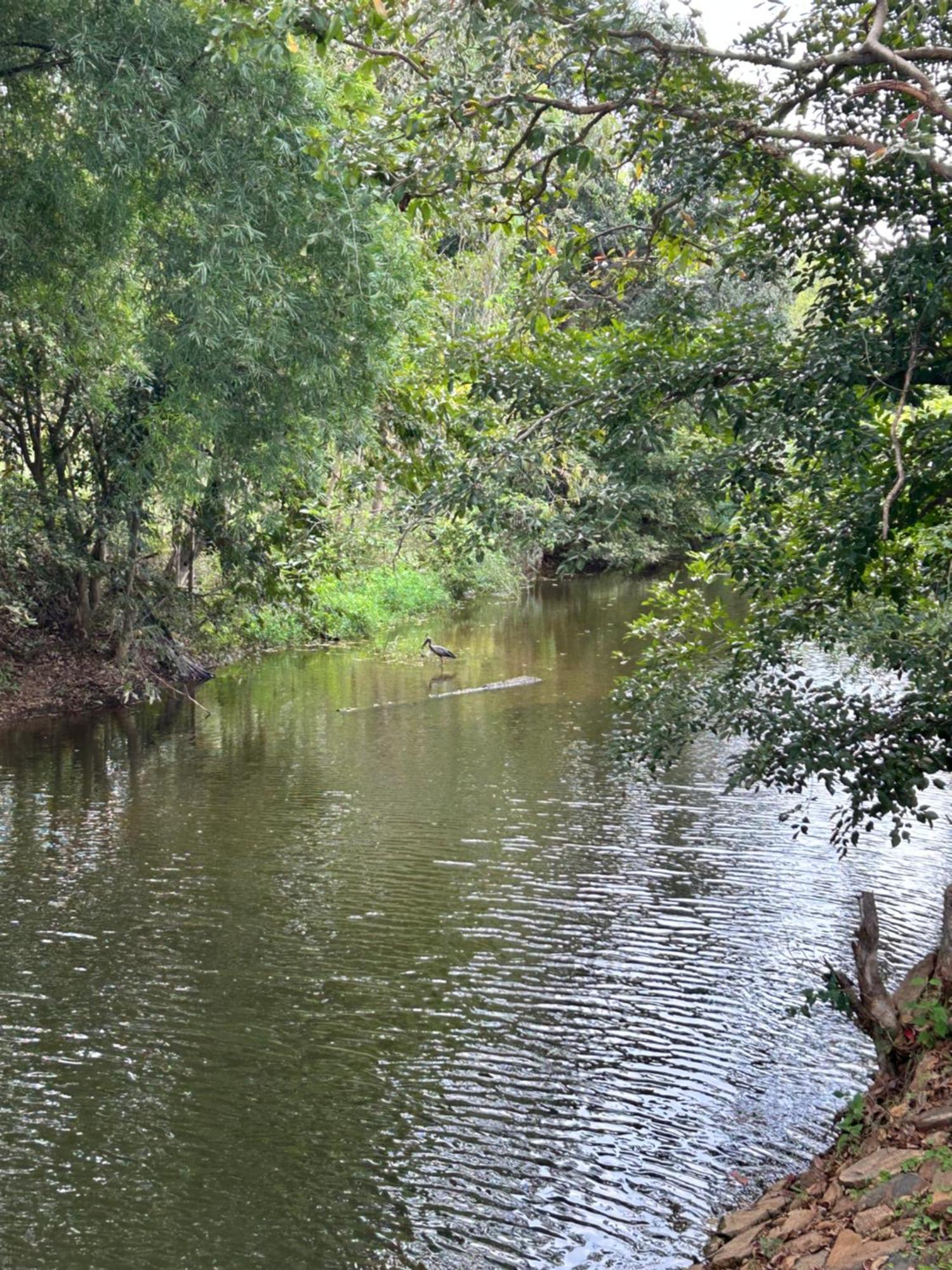 Hotel Wilderness Jungle Camp Malavalli Zewnętrze zdjęcie