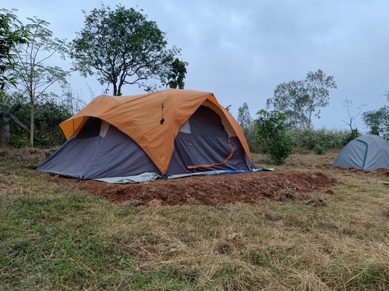 Hotel Wilderness Jungle Camp Malavalli Zewnętrze zdjęcie